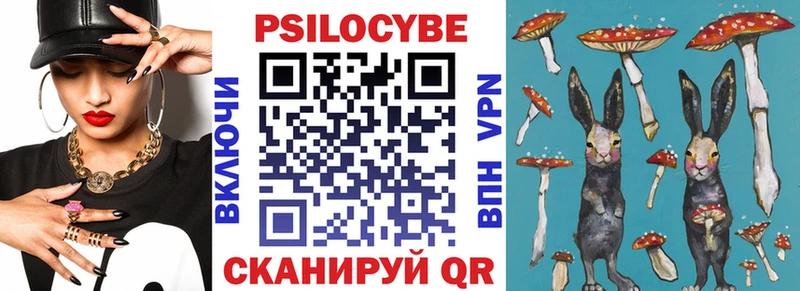 что такое   Чишмы  Псилоцибиновые грибы Cubensis 